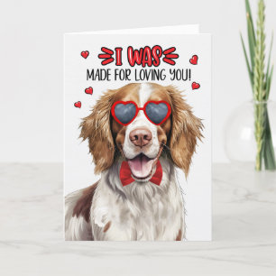 Cartes Pour Fêtes Annuelles Springer Spaniel fait pour vous aimer Saint-Valent