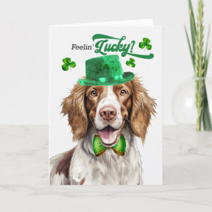 Cartes Pour Fêtes Annuelles Springer Spaniel Feelin' Lucky St Patrick's Day