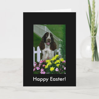 Cartes Pour Fêtes Annuelles Springer spaniel mignon adorable Pâques