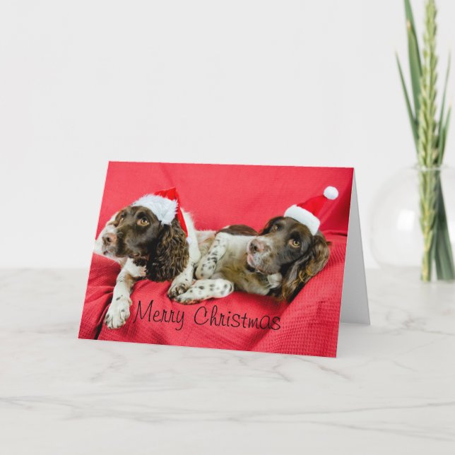 Cartes Pour Fêtes Annuelles Springers (Devant)