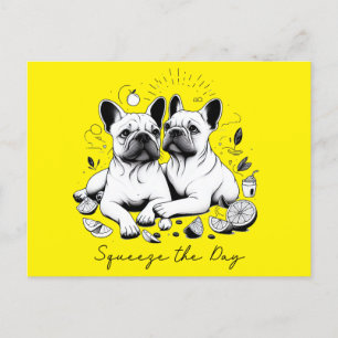 Cartes Pour Fêtes Annuelles Squeeze Le Jour