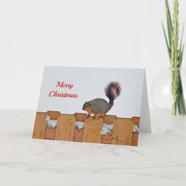Cartes Pour Fêtes Annuelles Squirel Fence Snow Photo Noël (Devant)