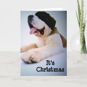CARTES POUR FÊTES ANNUELLES ST. BERNARD ENVOIE DES SOUHAITS "ÉNORMES" DE NOËL