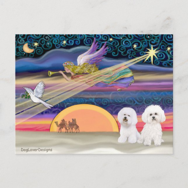 Cartes Pour Fêtes Annuelles Star de Noël - Bichon Frise (deux) (Devant)