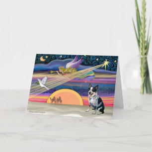 Cartes Pour Fêtes Annuelles Star de Noël - Chien de bétail australien
