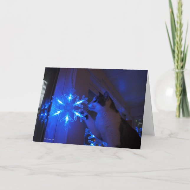 Cartes Pour Fêtes Annuelles Star of Wonder (Devant)