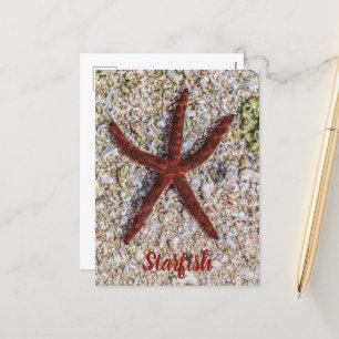 Cartes Pour Fêtes Annuelles Starfish Ocean Plage Vintage Souvenir rétro