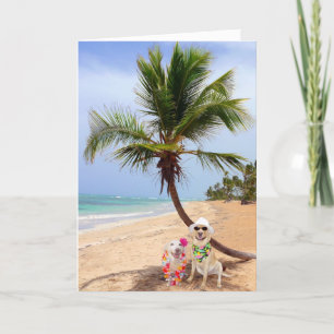 Cartes Pour Fêtes Annuelles Stranded on Deserted Island
