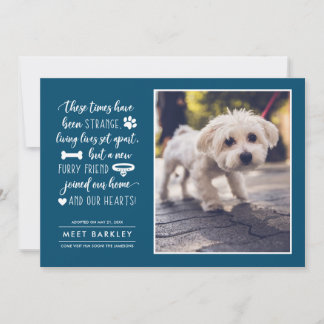 Cartes Pour Fêtes Annuelles Strange Times New Pet Photo Faire-part| Bleu