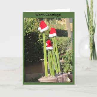 Cartes Pour Fêtes Annuelles Style de l'Arizona de Noël !