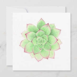 Cartes Pour Fêtes Annuelles Succulent - Oeuvre originale de Meghann Russell