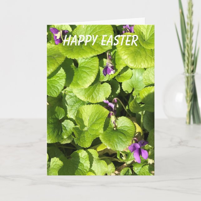 Cartes Pour Fêtes Annuelles Sucré Violets Pâques (Devant)