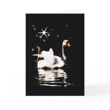 Swan Starlight