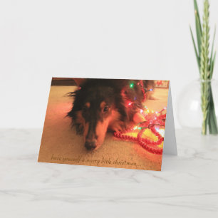Cartes Pour Fêtes Annuelles Sweet Collie Noël, Amusez-vous très joyeux