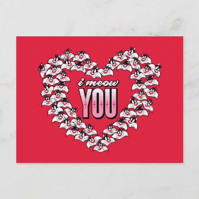 Cartes Pour Fêtes Annuelles SYLVESTER™ - Je vous connais (Devant)