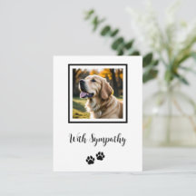 Sympathie de chien de perte d'animal
