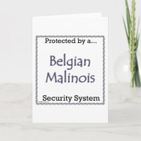 Système de Sécurité Malinois