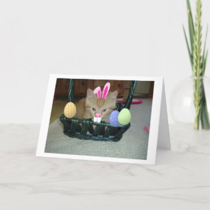 Cartes Pour Fêtes Annuelles Tabby à Kitty Chat de Pâques