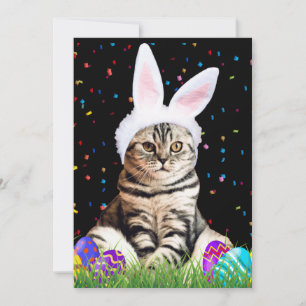 Cartes Pour Fêtes Annuelles Tabby de Pâques