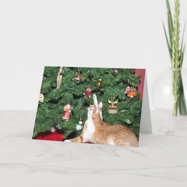 Cartes Pour Fêtes Annuelles Tabby et sapin de Noël (Devant)