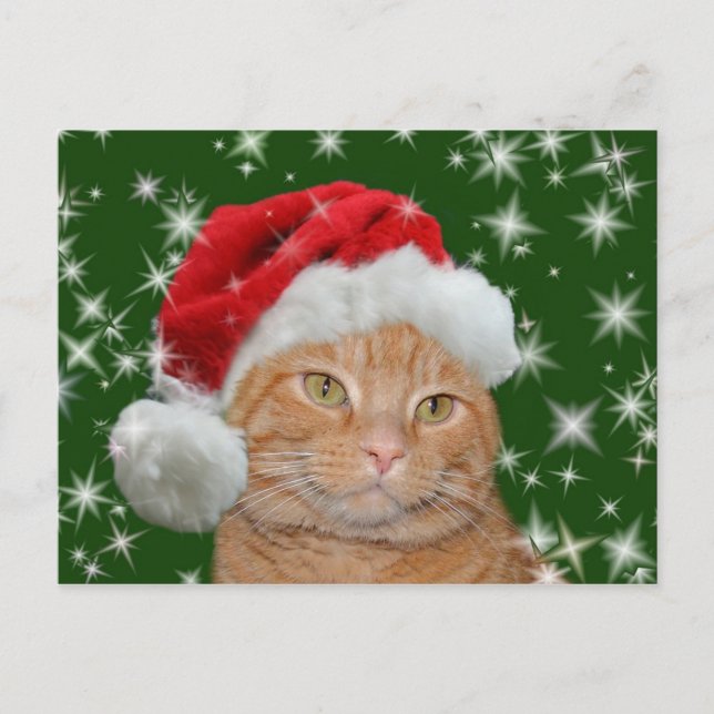 Cartes Pour Fêtes Annuelles Tabby orange Père Noël (Devant)
