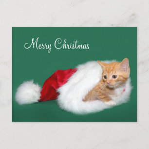 Cartes Pour Fêtes Annuelles Tabby orange Santa hat