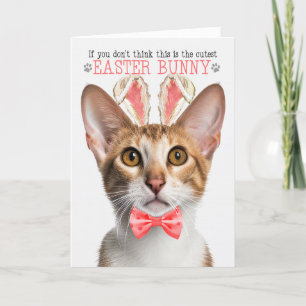 Cartes Pour Fêtes Annuelles Tabby Oriental Cat Cutest Pâques Bunny Kitty Puns