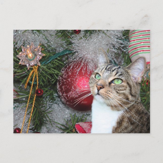 Cartes Pour Fêtes Annuelles Table Brown avec Noël blanc (Devant)