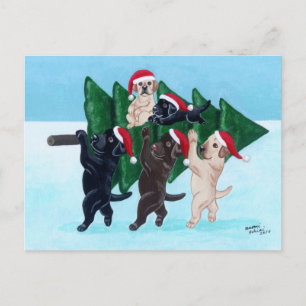 Cartes Pour Fêtes Annuelles Tableaux de Noël Labradors dans le champ de neige
