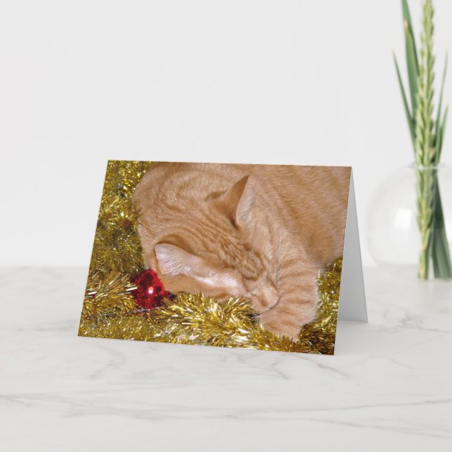 Cartes Pour Fêtes Annuelles Tablette orange chat Noël sieste (Devant)