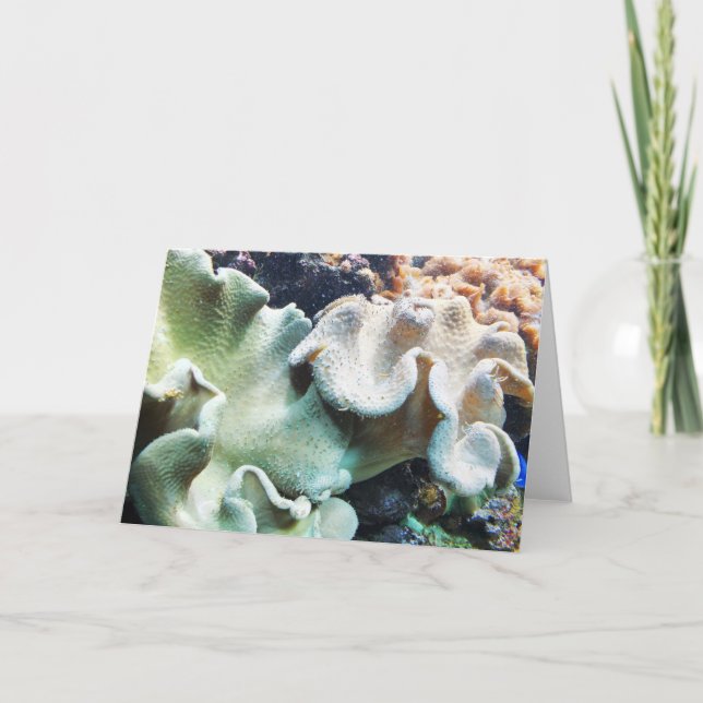 Cartes Pour Fêtes Annuelles Tabouret en cuir corail (Devant)