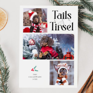 Cartes Pour Fêtes Annuelles Tails & Tinsel Chien photo Noël blanc