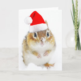 Cartes Pour Fêtes Annuelles Tamia de Milou Père Noël