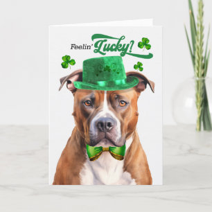Cartes Pour Fêtes Annuelles Tan Pit Bull Dog Feelin' Lucky St Patrick's Day