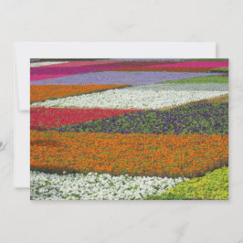 Cartes Pour Fêtes Annuelles Tapis de fleurs