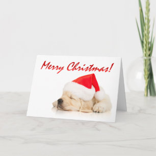Cartes Pour Fêtes Annuelles Tarte de Cutie ! Joyeux Noël de chiot mignon de