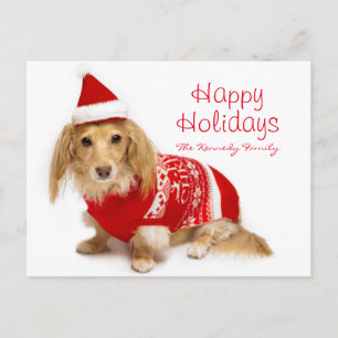 Cartes Pour Fêtes Annuelles Teckel à cheveux longs portant Noël rouge