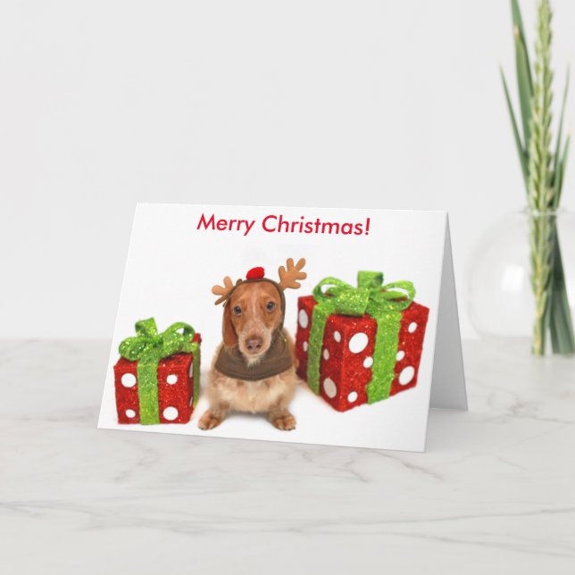 Cartes Pour Fêtes Annuelles Teckel de Noël (Devant)