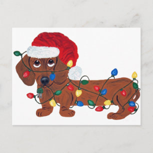 Cartes Pour Fêtes Annuelles Teckel embrouillé dans des lumières de Noël