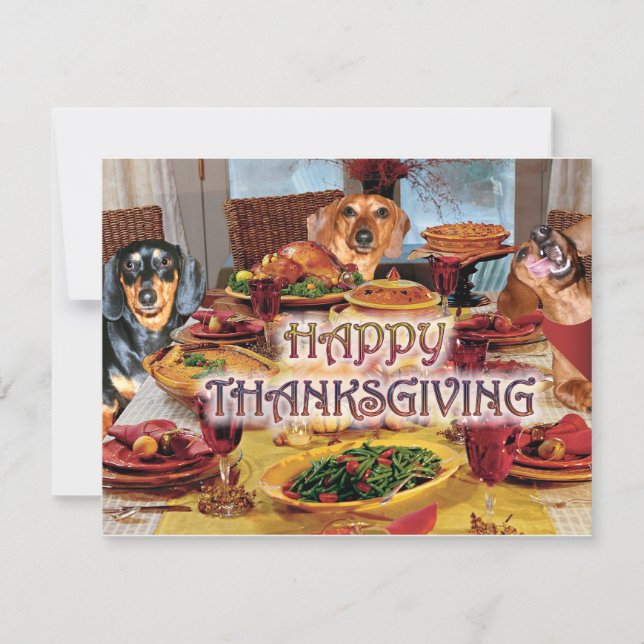 Cartes Pour Fêtes Annuelles Teckels de thanksgiving (Devant)