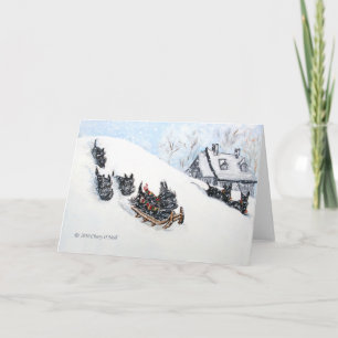 Cartes Pour Fêtes Annuelles Teckels écossais en traîneau