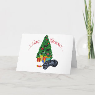 Cartes Pour Fêtes Annuelles Teckels Écossais font la sieste de Noël