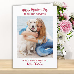 Cartes Pour Fêtes Annuelles Teddy Pet Photo Dog Maman Mother's Day