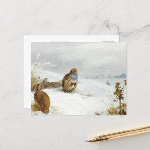 Cartes Pour Fêtes Annuelles Temps difficile - perdrix et lièvre, Art Bird