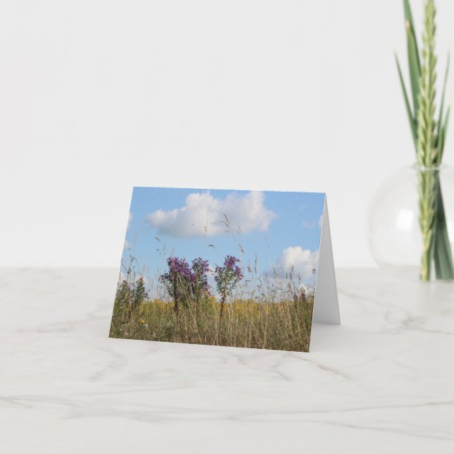 Cartes Pour Fêtes Annuelles Terrain d'été à la campagne (Devant)