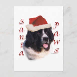 Cartes Pour Fêtes Annuelles Terre-Neuve (atterrisseur) Père Noël Paws