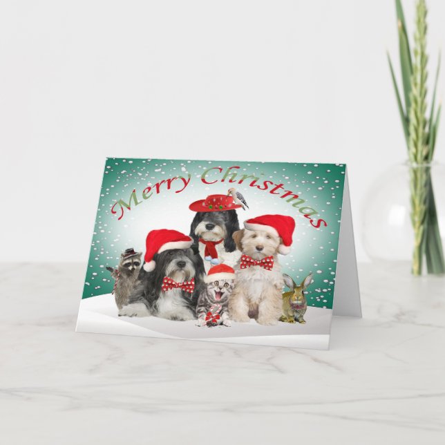 Cartes Pour Fêtes Annuelles Terrier Christmas With Friends (Devant)