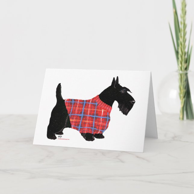 Cartes Pour Fêtes Annuelles Térrier écossais en pull (Devant)