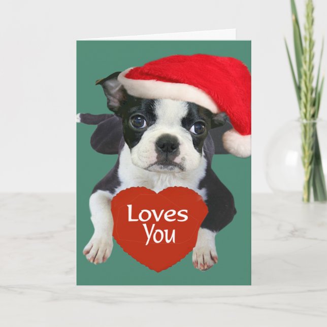 Cartes Pour Fêtes Annuelles Terriers Père Noël de Boston (Devant)