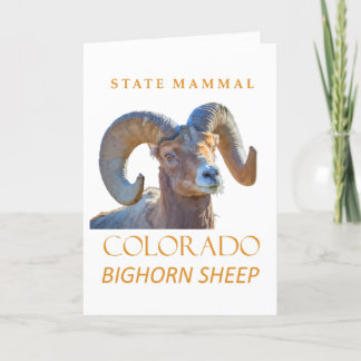 Cartes Pour Fêtes Annuelles Territoire du Colorado Mammifère Le Mouflon à corn